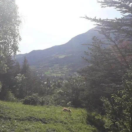 Cocody Jacuzz * Жозье